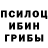 Псилоцибиновые грибы мухоморы Gregor Sirano