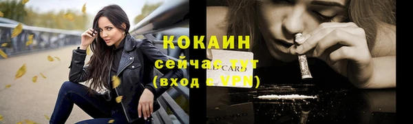 гидра Верея
