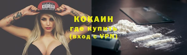 индика Волосово